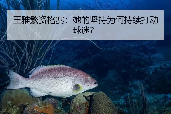 王雅繁资格赛：她的坚持为何持续打动球迷？ - leyu